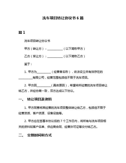 洗车项目转让协议书6篇