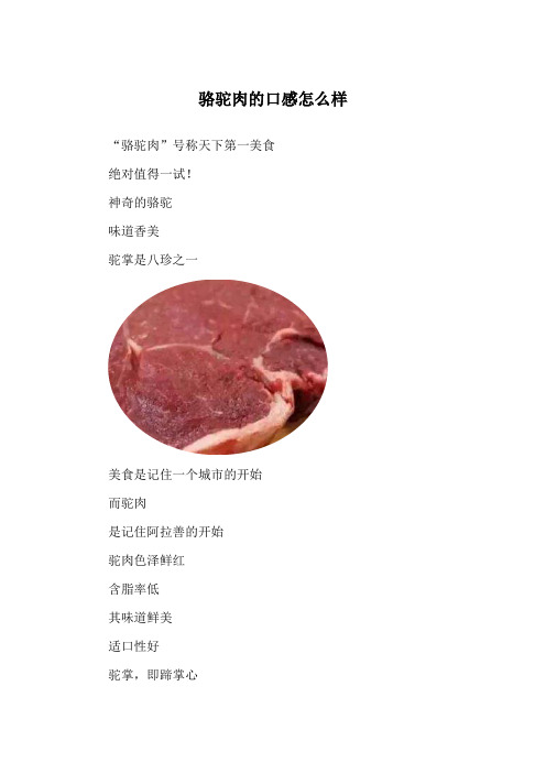 骆驼肉的口感怎么样