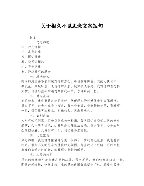 关于很久不见思念文案短句