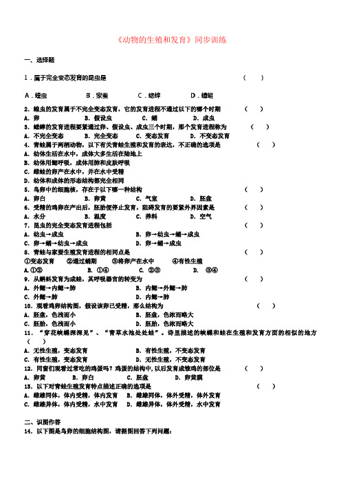 八年级生物上册19_2动物的生殖和发育同步练习新版北师大版