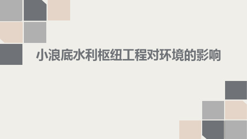 小浪底水利枢纽工程对环境的影响工程伦理案例分析