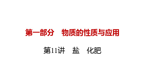 2023年中考广东专用化学一轮复习考点透析盐化肥