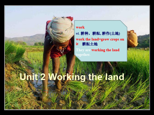 人教版高一英语必修四 Unit 2 Working the land- PPT课件 图文