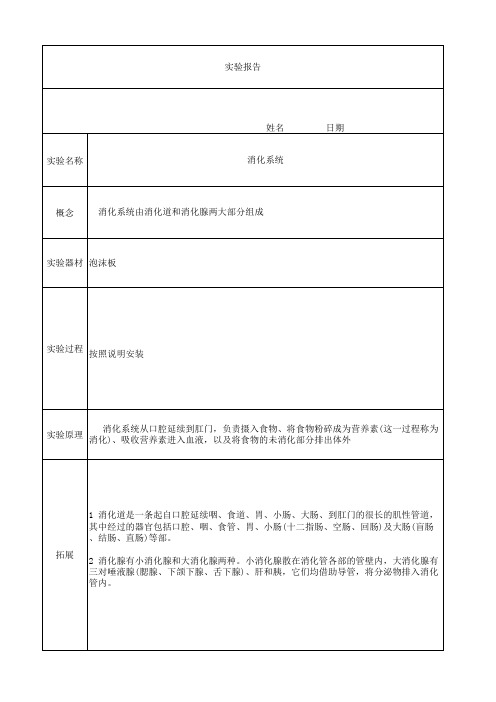 消化系统实验报告