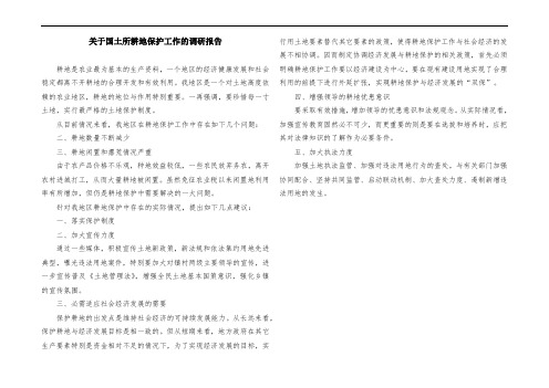 关于国土所耕地保护工作的调研报告