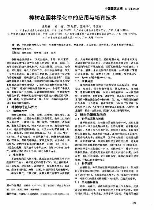樟树在园林绿化中的应用与培育技术