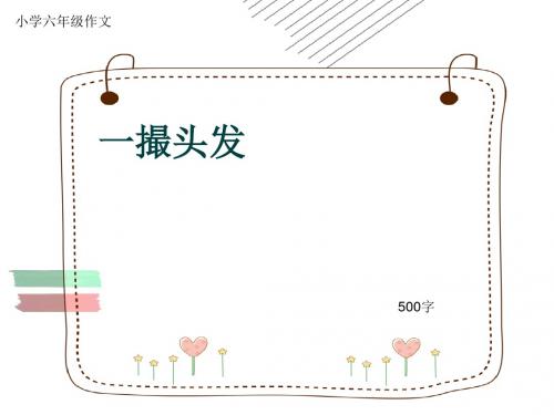 小学六年级作文《一撮头发》500字