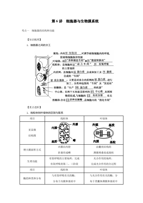 2022年高考生物一轮复习讲义：第6讲 细胞器与生物膜系统