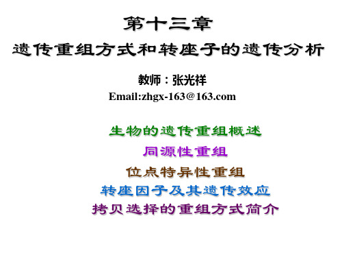 遗传重组方式和转座子的遗传分析课件(PPT 56页)