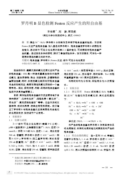 罗丹明B显色检测Fenton反应产生的羟自由基