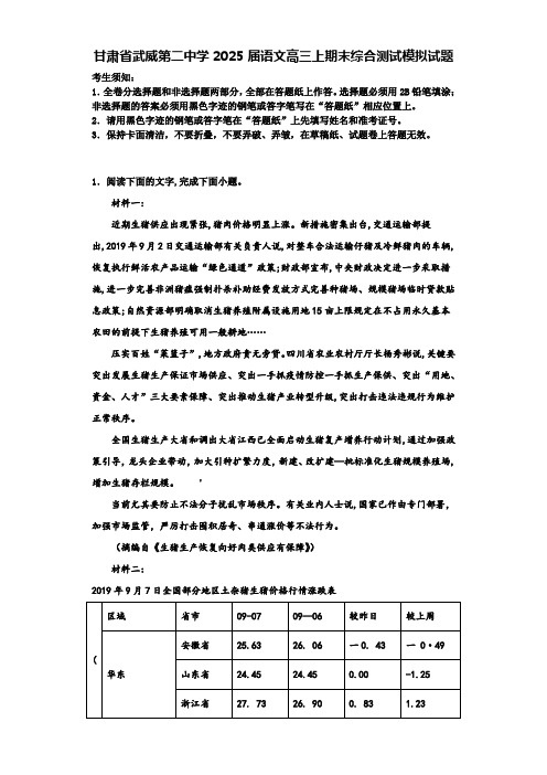 甘肃省武威第二中学2025届语文高三上期末综合测试模拟试题含解析