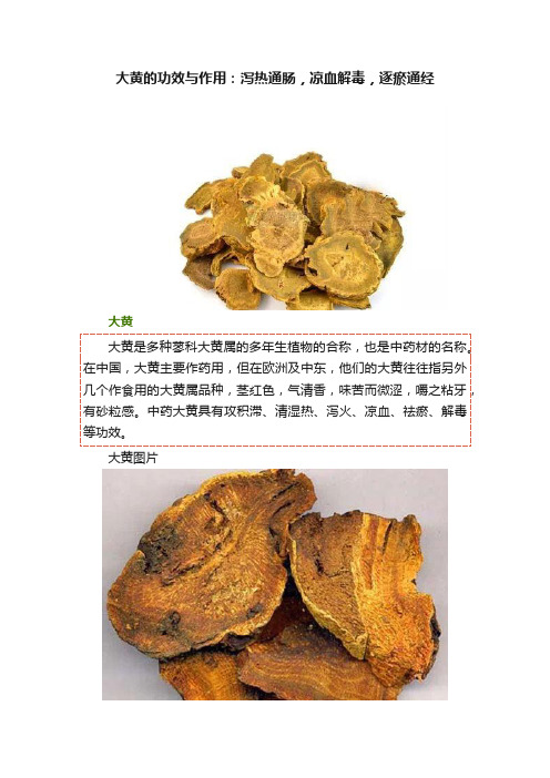 大黄的功效与作用：泻热通肠，凉血解毒，逐瘀通经