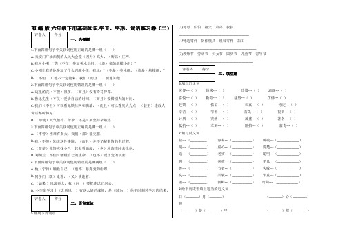 六年级下册语文试题-基础知识.字音、字形、词语练习卷(二)-人教部编版(含答案)