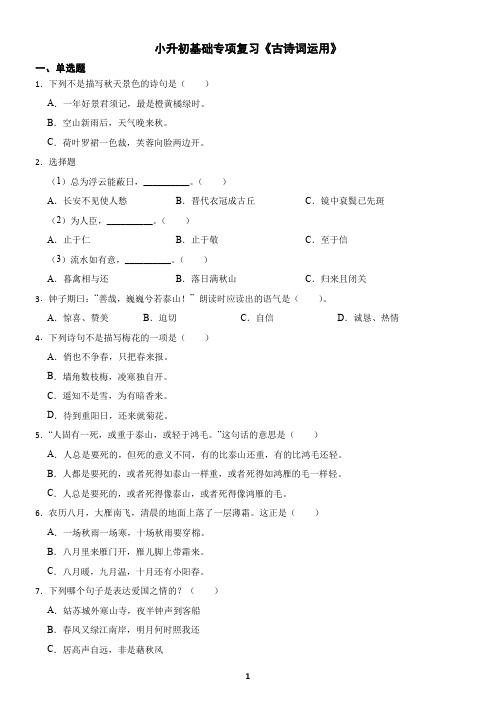 小升初基础专项复习《古诗词运用》练习及答案