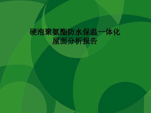 硬泡聚氨酯防水保温一体化分析报告.ppt