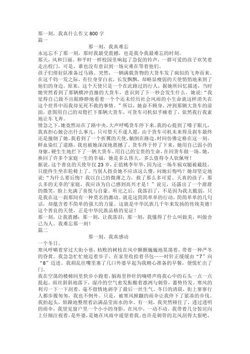 那一我真什么作文800字