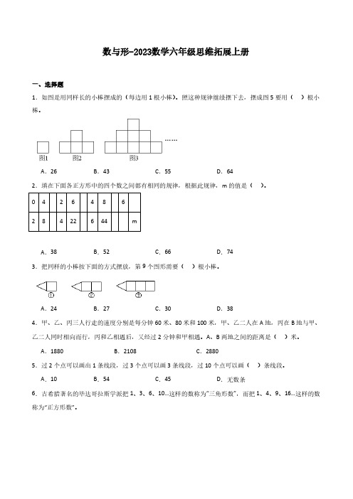 数与形-数学思维拓展2023六年级上册含答案