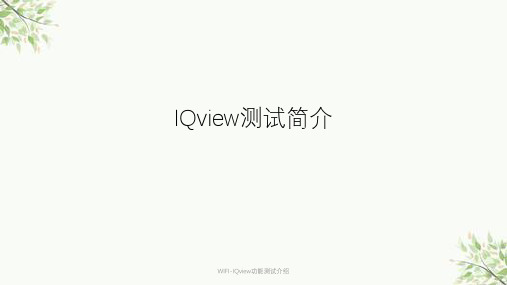 WIFI-IQview功能测试介绍课件