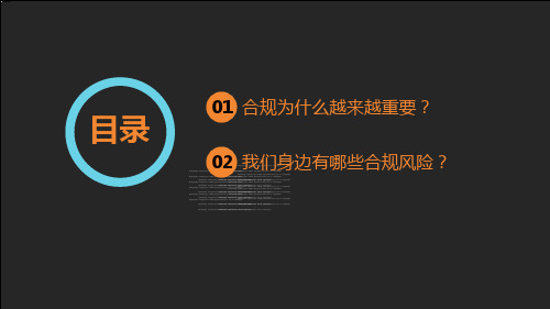 简约商务风合规知识培训PPT专题演示