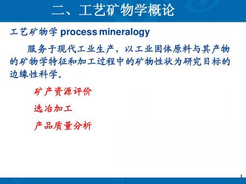 2工艺矿物学