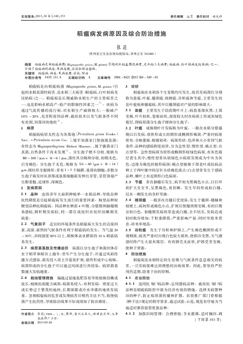 稻瘟病发病原因及综合防治措施