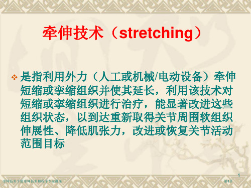 牵伸技术下肢牵伸技术和程序专家讲座