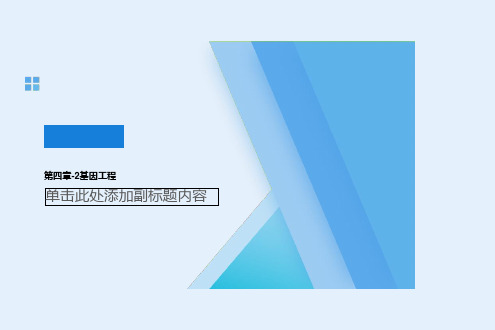 第四章-2基因工程