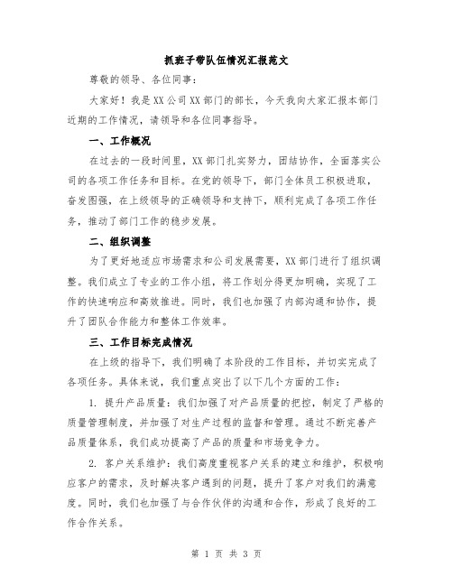 抓班子带队伍情况汇报范文