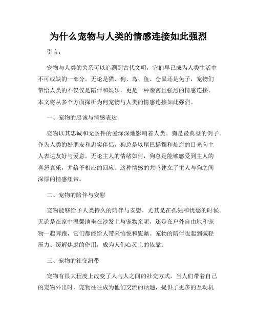 为什么宠物与人类的情感连接如此强烈