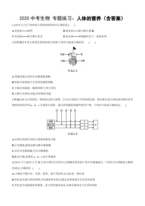 2020中考生物 专题练习题：人体的营养(含解析)