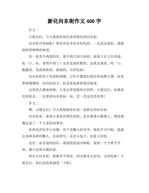 新化向东街作文400字