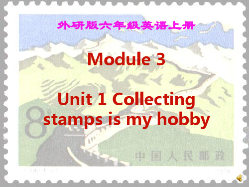 外研版六年级英语上册Module 3Unit 1 Collecting stamps is my hobby