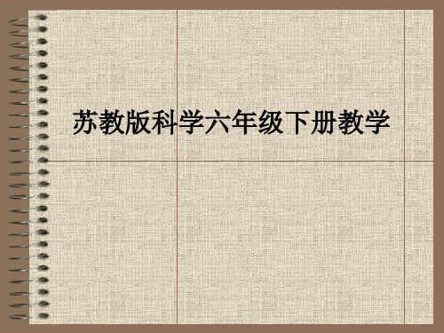 苏教版科学六年级下册ppt课件