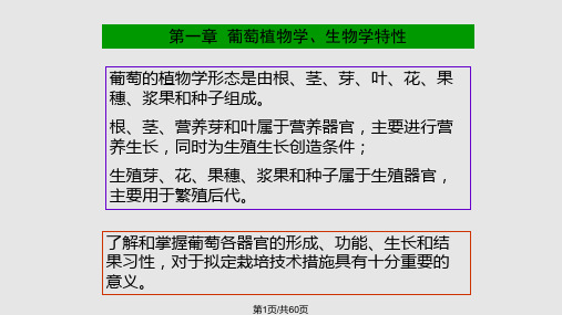 葡萄植物学特性全解PPT课件