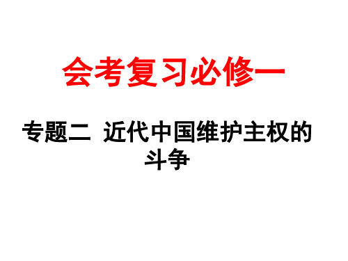 人民版高一历史必修一专题二近代中国维护国家主权的斗争单元复习课件 (共28张PPT)