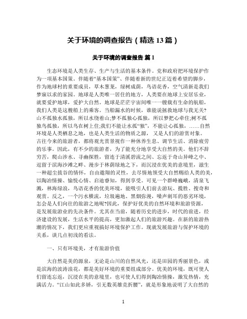 关于环境的调查报告(精选13篇)