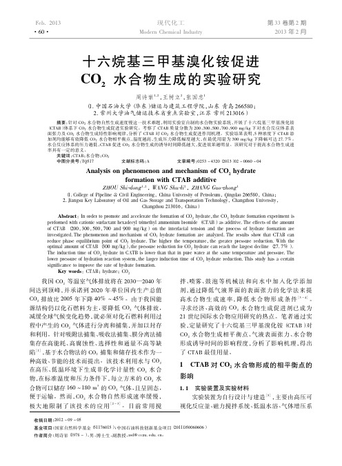 十六烷基三甲基溴化铵促进CO2水合物生成实验