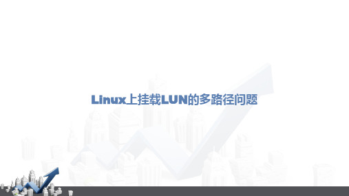 Linux上挂载LUN的多路径问题