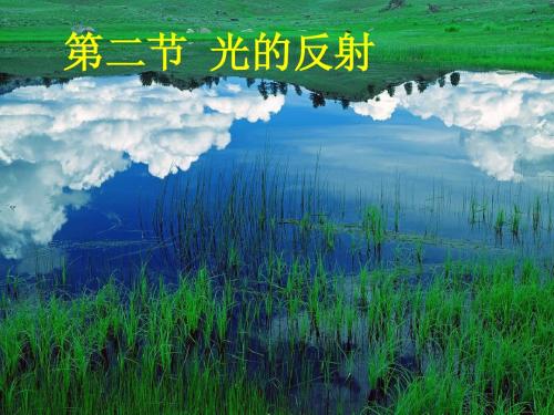 光的反射