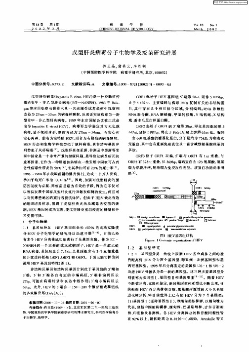 戊型肝炎病毒分子生物学及疫苗研究进展