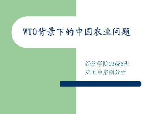 WTO背景下的中国农业问题经济学院03级6班