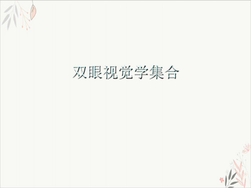 双眼视觉学集合ppt-课件