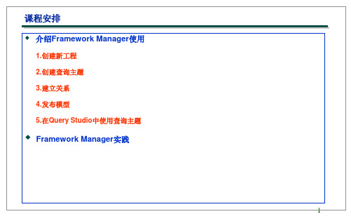 CognosFramework使用和实践