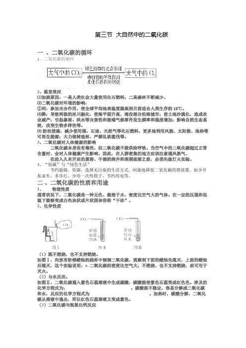 《大自然中的二氧化碳》教学设计