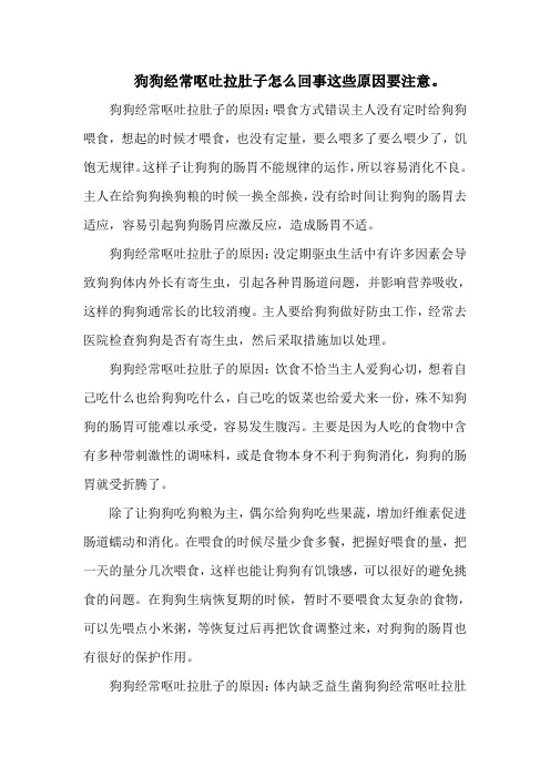 狗狗经常呕吐拉肚子怎么回事这些原因要注意