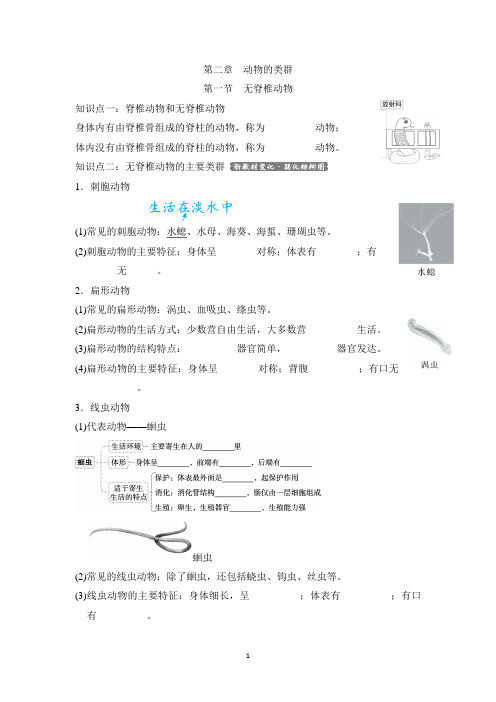 人教版七年级上册生物第二单元第二章第一节知识点总结