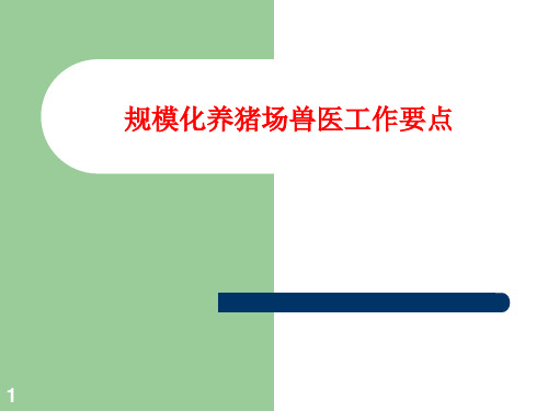 规模化养猪场兽医工作要点精选幻灯片