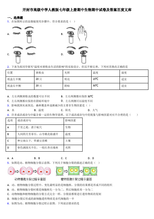 开封市高级中学人教版七年级上册期中生物期中试卷及答案百度文库