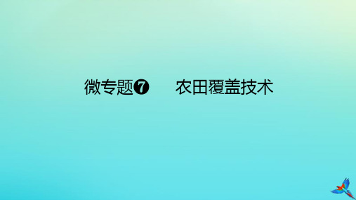 2023新教材高考地理二轮专题复习微专题7农田覆盖技术课件