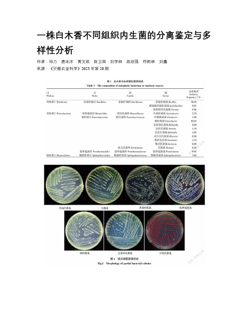 一株白木香不同组织内生菌的分离鉴定与多样性分析